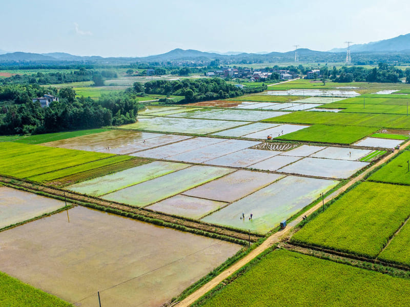 恒美科技助力高標準農(nóng)田建設(shè)，推進農(nóng)業(yè)現(xiàn)代化